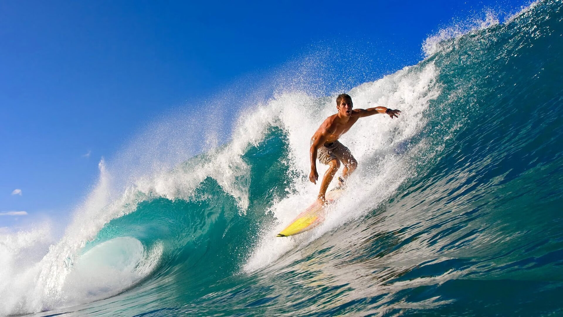 球场“天才少年”崭露头角，欧冠新锐崛起，欧冠青年人队